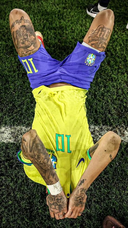 普利希奇：两天前我像死在床上了一样，很高兴来到了这里（普利希奇：两天前我还病得躺在床上，如今来到这里让我无比开心）