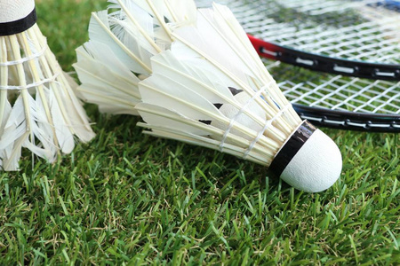 陈下与其他 陈下与其他